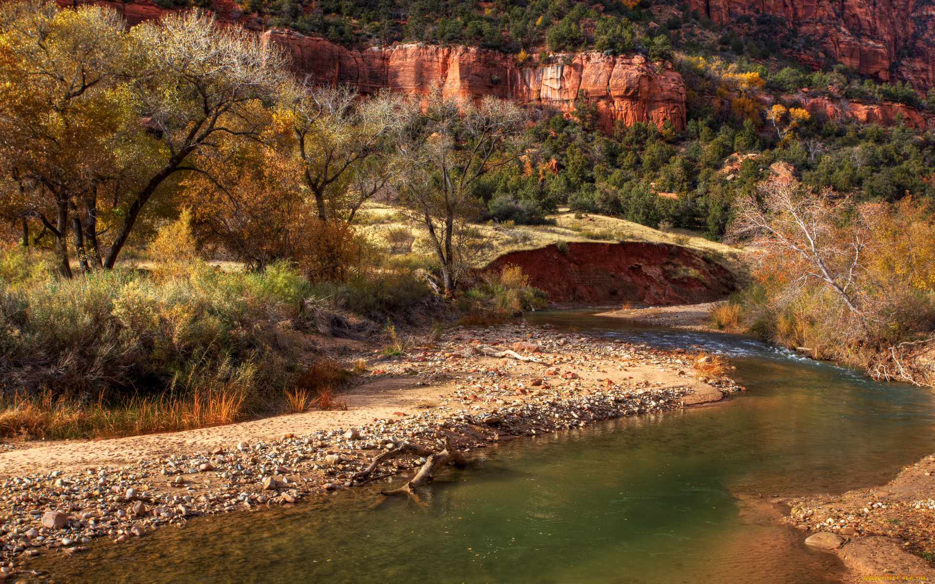 zion, fall, , , , , , , 